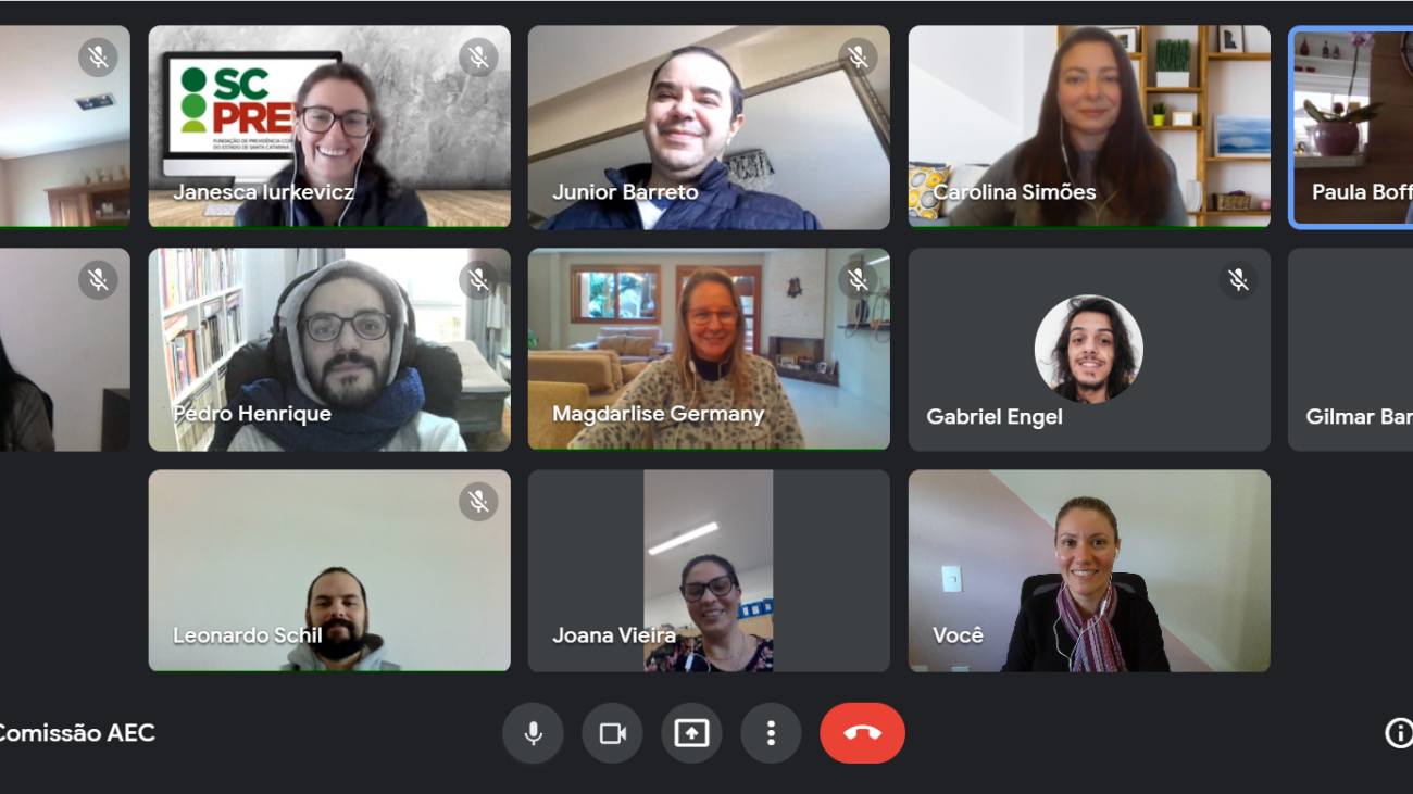 Reunião_virtual_AEC_02_07